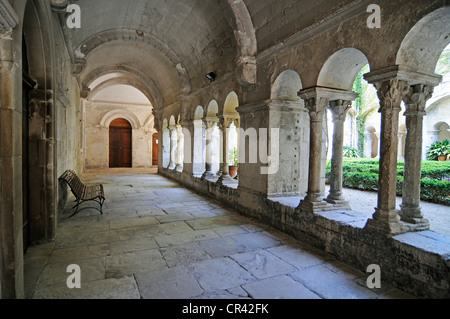 Saint Paul de Mausole monastero, ospedale psichiatrico, soggiorno di Vincent Van Gogh, museo, Saint Remy de Provence Foto Stock