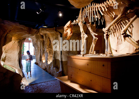 Francia, Savoie, Entremont le Vieux, Museo dell'orso delle caverne Foto Stock