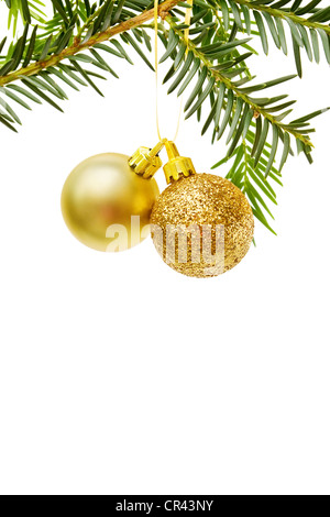 Bordo di Natale con alberi di pino e di diramazione golden baubles. Isolato su sfondo bianco. Camera per il vostro testo. Foto Stock