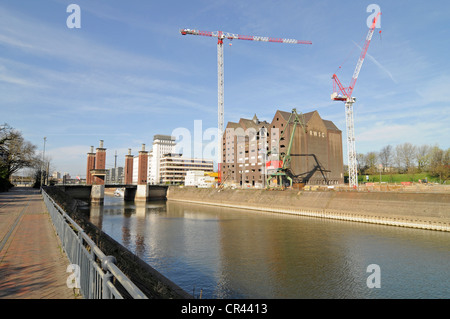 Il vecchio magazzino RWSG, gru per edilizia, sito in costruzione, Innenhafen, il Porto Interno di Duisburg, zona della Ruhr, Renania settentrionale-Vestfalia Foto Stock