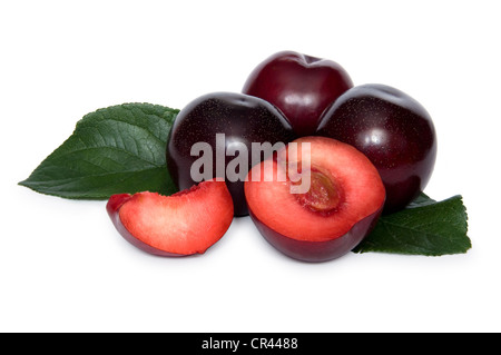 Alcune prugne con due fette di prugna su sfondo bianco Foto Stock