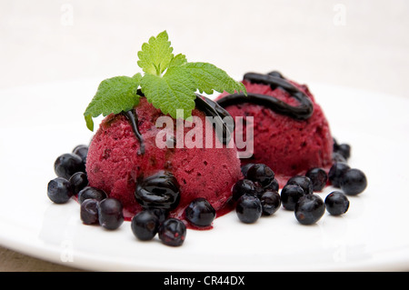 Gelato alla crema con aroma di ribes, mirtilli e cioccolato topping Foto Stock