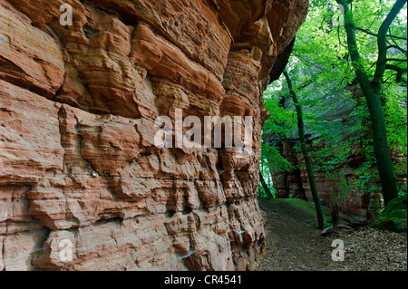 Area di arrampicata, monumento naturale, Altschlossfelsen o Old Castle Rock in Eppenbrunn, Foresta del Palatinato Riserva Naturale Foto Stock