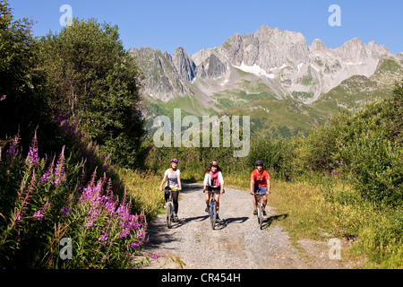 Francia, Savoie, Valmorel, mountain bike con viste su Chaine de la Lauziere e Grand Pic (2829m) Foto Stock