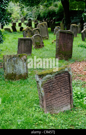 Vecchio Cimitero Ebraico 'Heiliger sabbia', Worms, Renania-Palatinato, Germania, Europa Foto Stock