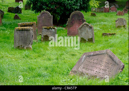 Vecchio Cimitero Ebraico 'Heiliger sabbia', Worms, Renania-Palatinato, Germania, Europa Foto Stock