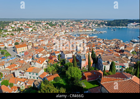 Vista su Rovigno con il porto, Istria, Croazia, Europa Foto Stock