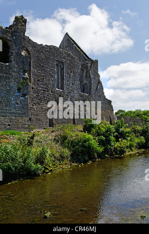 Il Castello di Desmond sul fiume Deel, Askeaton, County Limerick, Irlanda, Europa Foto Stock