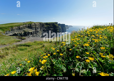 Scogliere di Moher, County Clare, Irlanda, Europa Foto Stock
