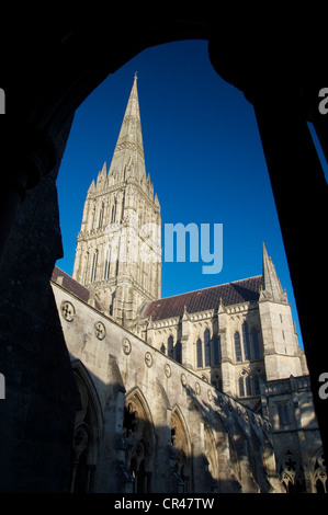 L'elegante campanile della cattedrale di Salisbury rivolta verso il cielo, visto attraverso un arco dal chiostro. Wiltshire, Inghilterra. Foto Stock