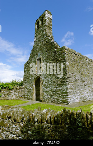 Cappella, Mellifont Abbazia Abbazia cistercense, nella contea di Louth, Repubblica di Irlanda, Europa Foto Stock