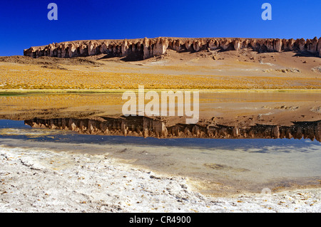 Il Cile, Regione di Antofagasta, El Loa Provincia, Salar de Tara, formazioni di pietra nel paesaggio minerale del cileno altiplano Foto Stock