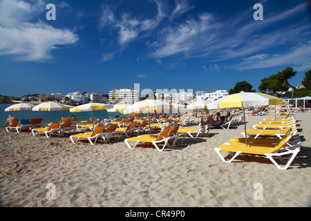 Lettini e ombrelloni sulla spiaggia di Es Canar, Ibiza, Isole Baleari, Spagna, Europa Foto Stock