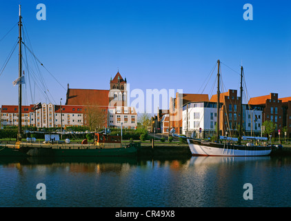 Porto nella parte anteriore della chiesa Marienkirche, Greifswald, Meclenburgo-Pomerania Occidentale, Germania, Europa Foto Stock