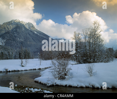 Ettaler Weidmoos, Ettal Palude Terreni di fronte Laberjoch montagna, Alta Baviera, Baviera, Germania, Europa Foto Stock