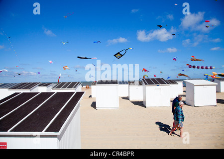 Aquiloni presso l'International Kite Festival a Ostenda, Fiandre Occidentali, Belgio, Europa Foto Stock