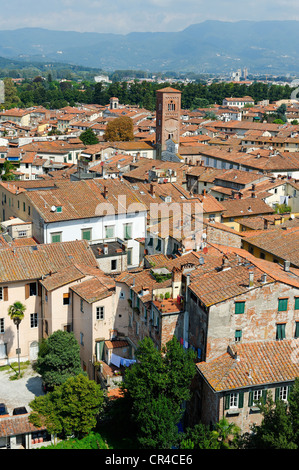 Vista dalla Torre di Palazzo Torre Guinigi, Lucca, Toscana, Italia, Europa Foto Stock