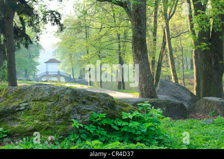 Giornata estiva nel parco. Paesaggio con ponte cinese Foto Stock