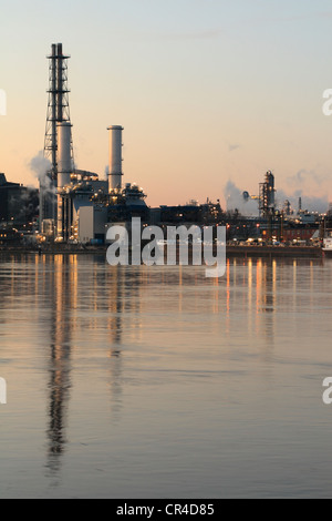 BASF locali sul fiume Reno in Ludwigshafen am Rhein, Renania-Palatinato, Germania, Europa Foto Stock