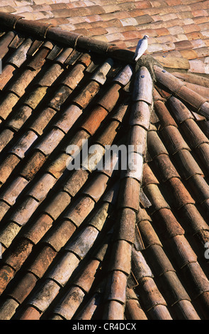 Francia, Drome, Drome Provencale, cresta, tetto Foto Stock