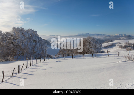 Parc Naturel Regional des Volcans d'Auvergne parco naturale Regionale dei Vulcani d'Alvernia, Monts Dore, Super Besse ski resort Foto Stock