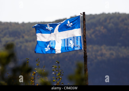 Bandiera del Quebec Quebec, Canada Foto Stock