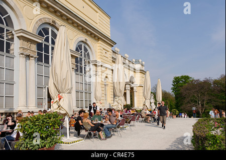 Café coffee house, gloriette nei giardini del castello Il Castello di Schoenbrunn, Vienna, Austria, Europa Foto Stock