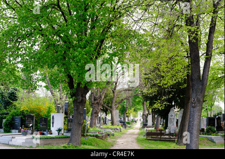 Wiener Zentralfriedhof, Vienna il cimitero centrale di Vienna, Austria, Europa Foto Stock