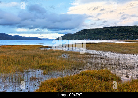 Ance-Saint-Jean, Saguenay Fjord, San Lorenzo parco marino, Lac-Saint Saguenay-Jean Regione, Quebec, Canada Foto Stock