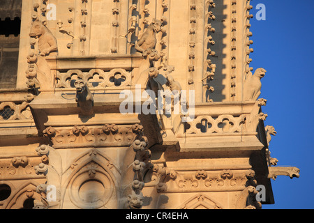 Francia, Parigi, Ile de la Cite, la cattedrale di Notre Dame de Paris, doccioni sulla torre nord Foto Stock