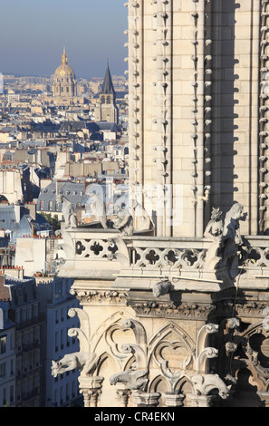 Francia, Parigi, Ile de la Cite, Les Invalides, St Germain des Pres e chiesa di Notre Dame de Paris cathedral mascheroni Foto Stock