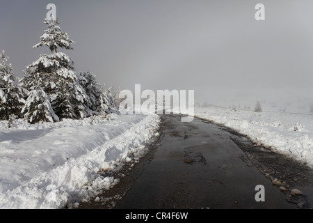 Strada nella neve, Pays de Sault, Drome, Francia, Europa Foto Stock