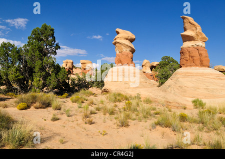 Hoodoos al giardino Devils, Scalone Escalante National Monument, Utah, Stati Uniti d'America, America del Nord Foto Stock