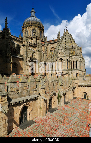 Cattedrale gotica, Salamanca, Sito Patrimonio Mondiale dell'Unesco, Castilla y León, Castiglia e Leon, Spagna, Europa Foto Stock