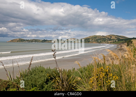 Sul Pacifico costa est dell'Isola Sud della Nuova Zelanda a Moeraki Foto Stock