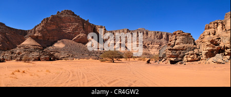 Wadi, Oued In Djerane con Acacia, Tadrart, del Tassili n'Ajjer National Park, sito Patrimonio Mondiale dell'Unesco, Algeria, Sahara Foto Stock