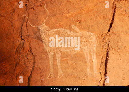 Dipinto di mucca, rockart neolitica dell Acacus montagne o Tadrart Acacus, gamma del Tassili n'Ajjer National Park Foto Stock