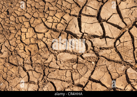 Asciugare il fango incrinato che mostra la siccità nel Regno Unito Foto Stock