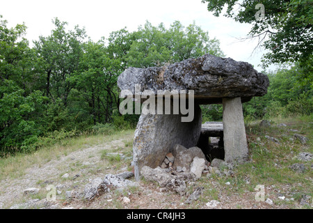 Dolmen di Ferrussac, Larzac, Causses e Cévennes, Mediterraneo agro-pastorale del paesaggio culturale, Patrimonio Mondiale dell UNESCO Foto Stock