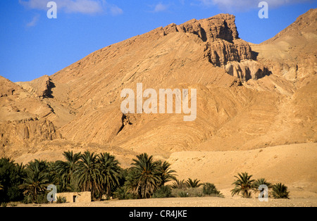 La Tunisia, Tozeur Governatorato, Chebika, oasi di montagna Foto Stock