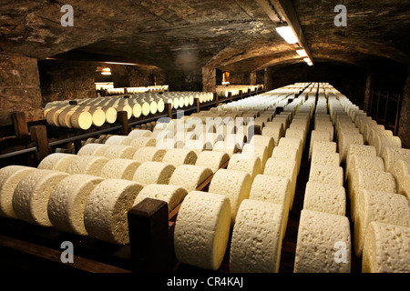 Righe di formaggio immagazzinata in la stagionatura in cantine di Roquefort Societe, il Roquefort-sur-Soulzon, Aveyron, Francia, Europa Foto Stock