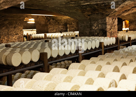 Righe di formaggio immagazzinata in la stagionatura in cantine di Roquefort Societe, il Roquefort-sur-Soulzon, Aveyron, Francia, Europa Foto Stock