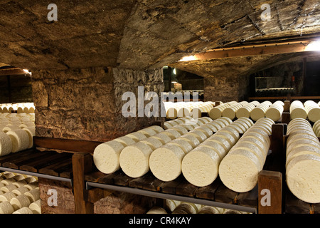 Righe di formaggio immagazzinata in la stagionatura in cantine di Roquefort Societe, il Roquefort-sur-Soulzon, Aveyron, Francia, Europa Foto Stock