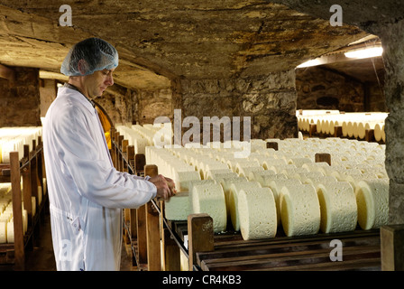 Maestro casaro con righe di formaggio immagazzinata in la stagionatura in cantine di Roquefort Societe, il Roquefort-sur-Soulzon, Aveyron, Foto Stock