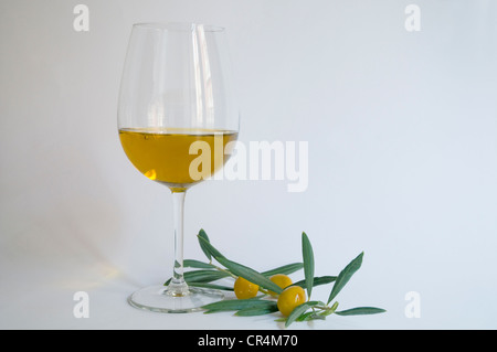 Degustazione di olio d'oliva. Foto Stock