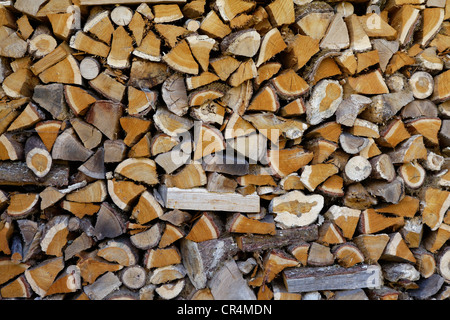 Legna da ardere, legnaia, Correze, Francia, Europa Foto Stock
