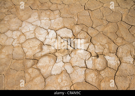 Modello di un secco fango incrinato a secco su un letto di lago Foto Stock