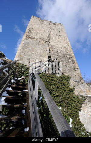 Rovine del Castello di Rauhenstein in inverno, Baden, Austria Inferiore, Austria, Europa Foto Stock