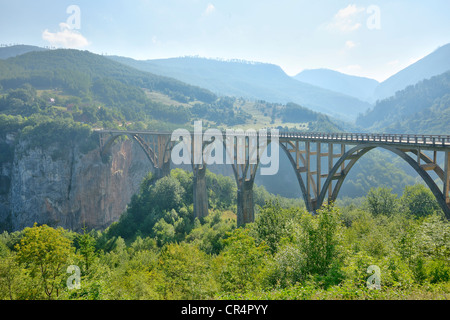 Ponte sul Tara canyon, Montenegro, europa Foto Stock