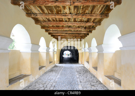 Ingresso alla chiesa fortificata di harman, regione burzenland, Romania, europa Foto Stock